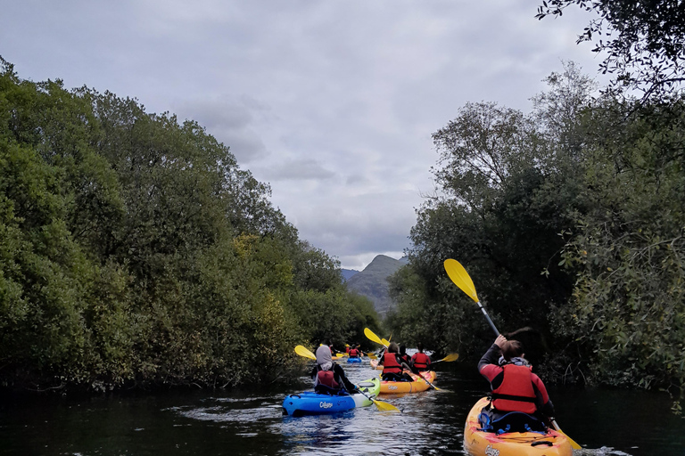 Llanberis: Kayak Tour