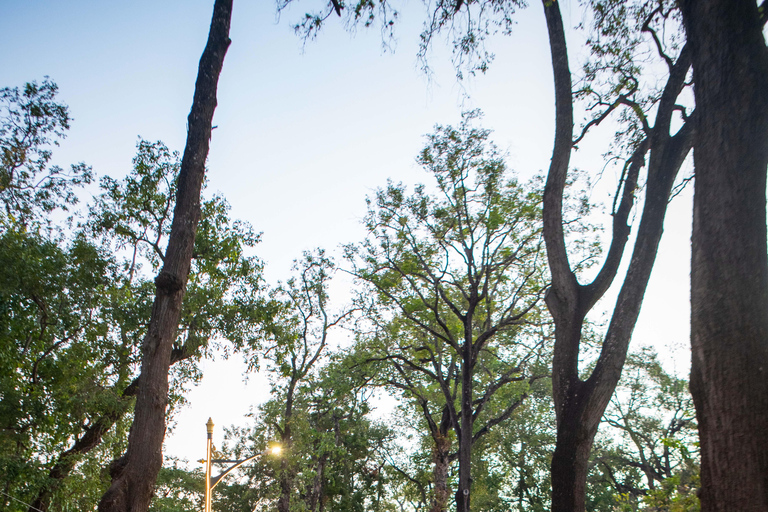 Tour della città e al tramonto con Big Bus AngkorTour della città al tramonto con Big Bus Angkor