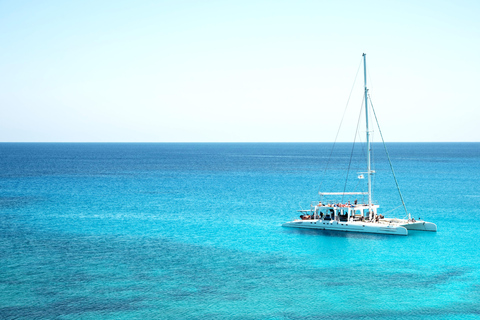 From Punta Cana: Saona Island Tour by Catamaran with Open Bar and Buffet Option with transportation from Punta Cana