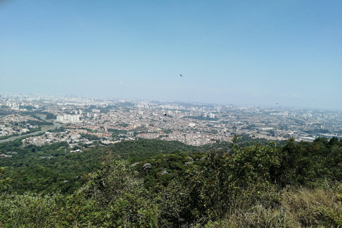 RAINFOREST Trilha Guiada ao Pico do Jaraguá - Ponto Mais Alto de São Paulo!ll