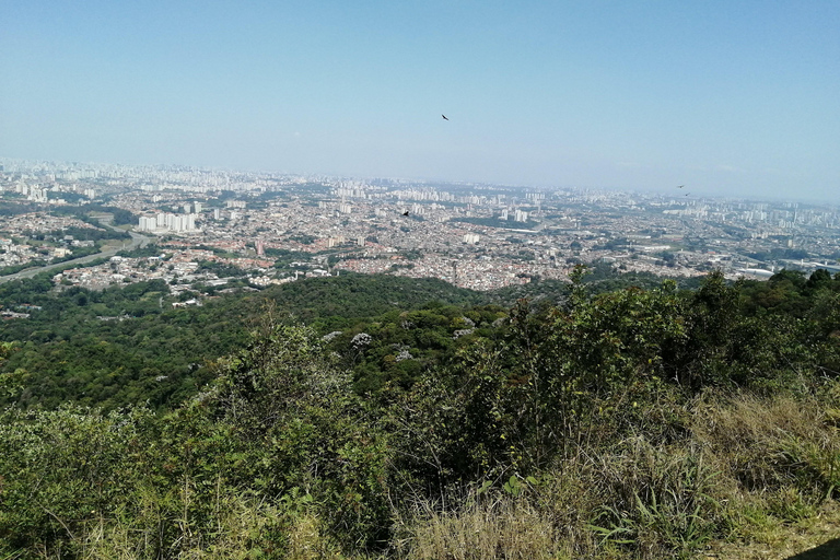 RAINFOREST Trilha Guiada ao Pico do Jaraguá - Ponto Mais Alto de São Paulo!ll