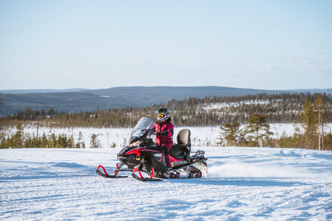 Rovaniemi: Snowmobile Safari & Reindeer Encounter