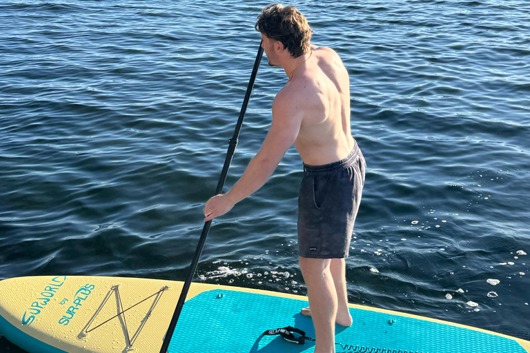 Oslo: Stand-Up Paddleboard Verhuur met veiligheidsbriefing