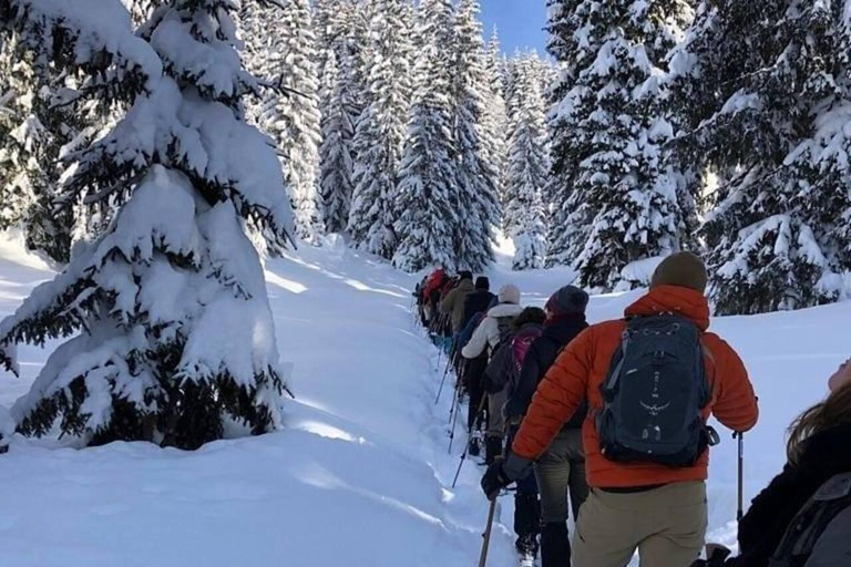 Kraków: Tatra Mountains Guided Hike with Hotel Pickup Tatra Mountains Guided Hike with Hotel Pickup