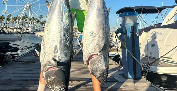 The Best Tuna Fishing Charter with all-inclusive