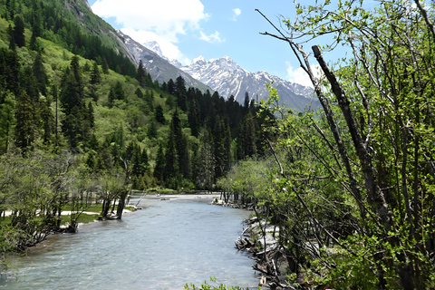 Sichuan: Mount Siguniang Scenic Area Ticket Changping Valley Ticket