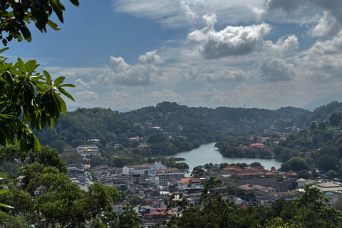 Vanuit Bentota: Kandy en Pinnawala Olifantenweeshuis TourKandy / Pinnawala rondreis vanuit Galle Hikkaduwa Mirissa Weligama