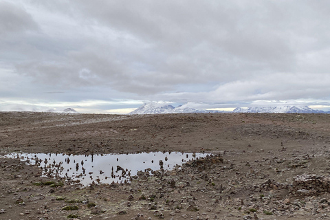 Arequipa: Transfer från Chivay till Puno med panoramautsikt och kulturell utsikt.