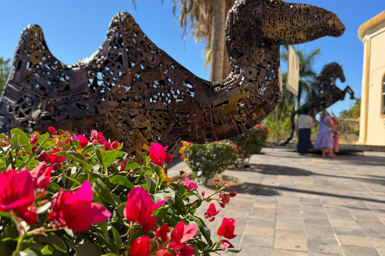 Visita à cidade de Todos Santos