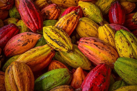 Walking Tour of Basel Best Chocolates