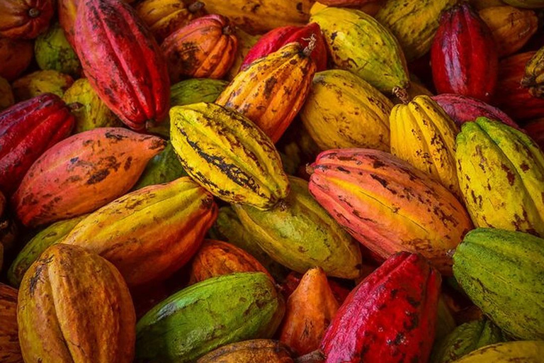 Walking Tour of Basel Best Chocolates