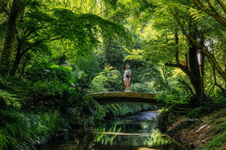 Sapporo: Private Summer Getaway to Lake Shikotsu & Lake Toya Shikotsu, Toya & Noboribetsu | Up to 9 Guests