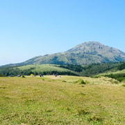 Taipei: Yangmingshan National Park Half-Day Tour