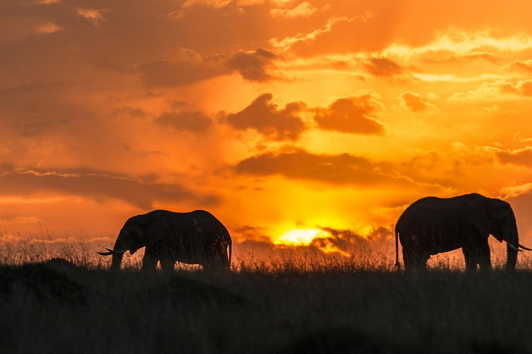 7-Tage-Klassiker der nördlichen Rundreise Safari7-Tage-Klassiker der nördlichen Rundreise