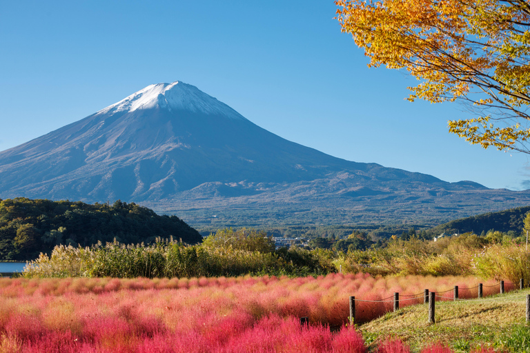 Tokyo: Mount Fuji Day Tour, Oshino Hakkai, Lake Kawaguchi Lunch Excluded | 8:30 AM from Shinjuku Station