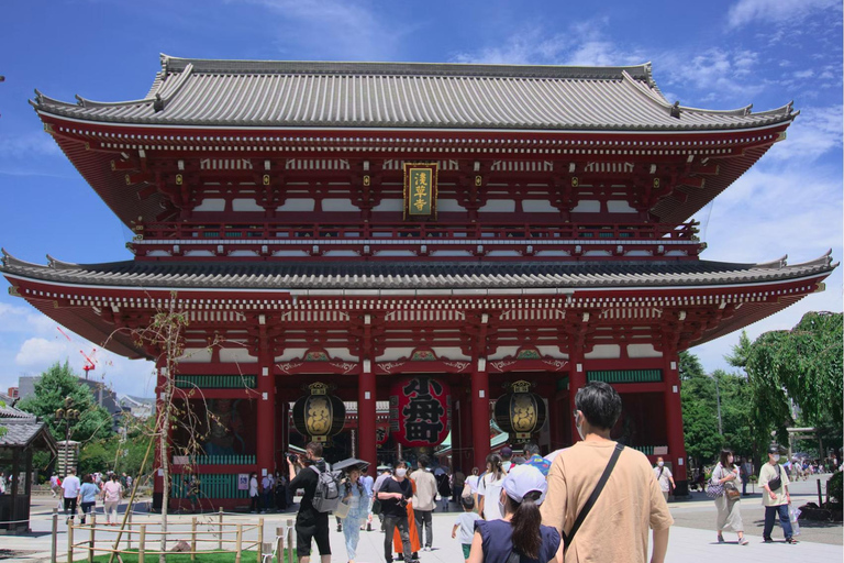 Tokyo: 8-Day Tour with Fuji, Kyoto, Nara, Hiroshima & Osaka Day 8 - Osaka Highlights (Spanish)