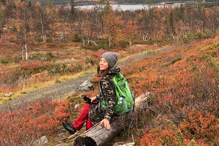 Levi: Herbstwanderung und Besuch auf der RentierfarmHerbstwanderung und Besuch auf der Rentierfarm