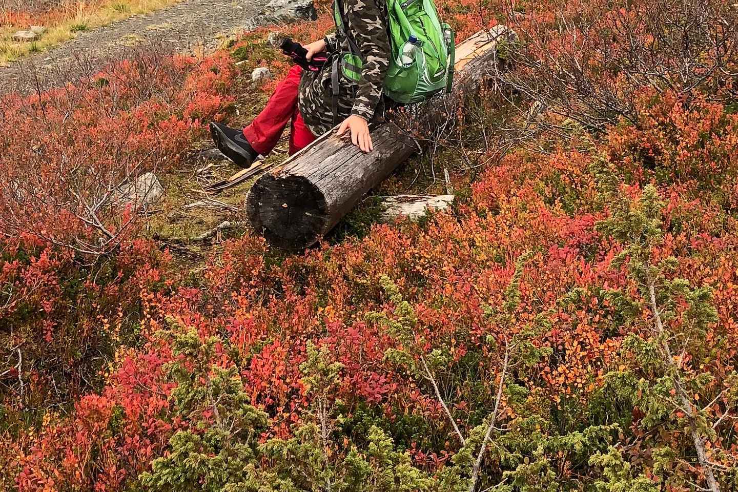 Levi: Autumn Hike and Reindeer Farm Visit