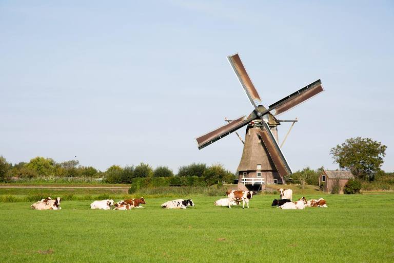 Amsterdão: Zaanse Schans, degustação de queijos e passeio em VolendamAmesterdão: Zaanse Schans, degustação de queijos e passeio por Volendam