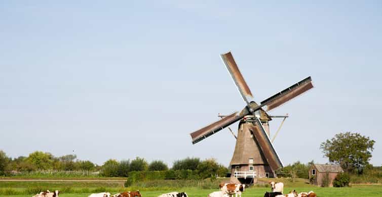 Amsterdam: Zaanse Schans, Cheese Tasting & Volendam Tour photo 14