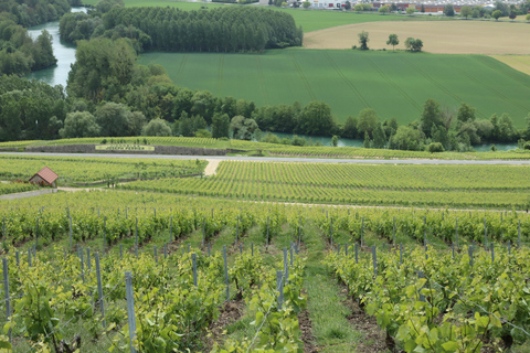 Paris: Champagne & Reims Day Trip with 3 Tastings