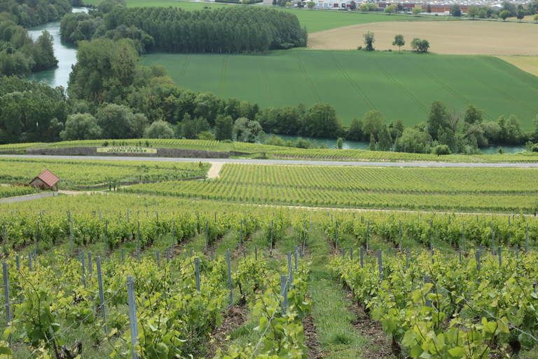 Paris: Champagne & Reims Day Trip with 3 Tastings