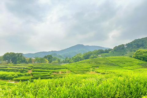 Hangzhou: Tea Village Tour with Tai Chi and Cooking Class