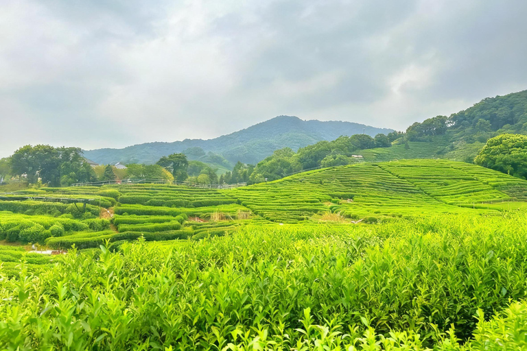 Hangzhou: Tea Village Tour with Tai Chi and Cooking Class