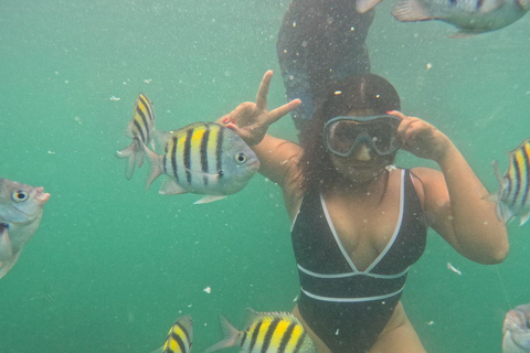 Barú: Playa Blanca with Private Club, Snorkeling and Raccoon Watching