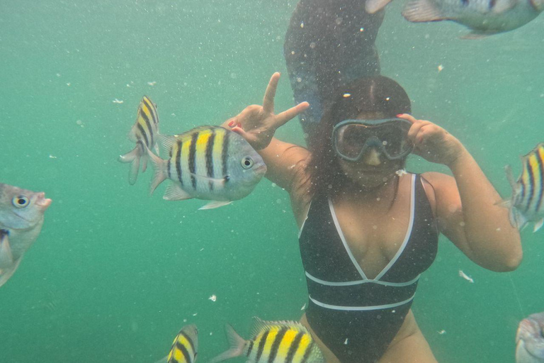 Barú: Playa Blanca with Private Club, Snorkeling and Raccoon Watching