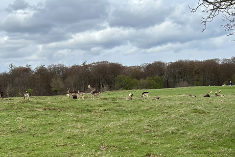 Copenhagen: City Highlights and Deer Park Bike Tour