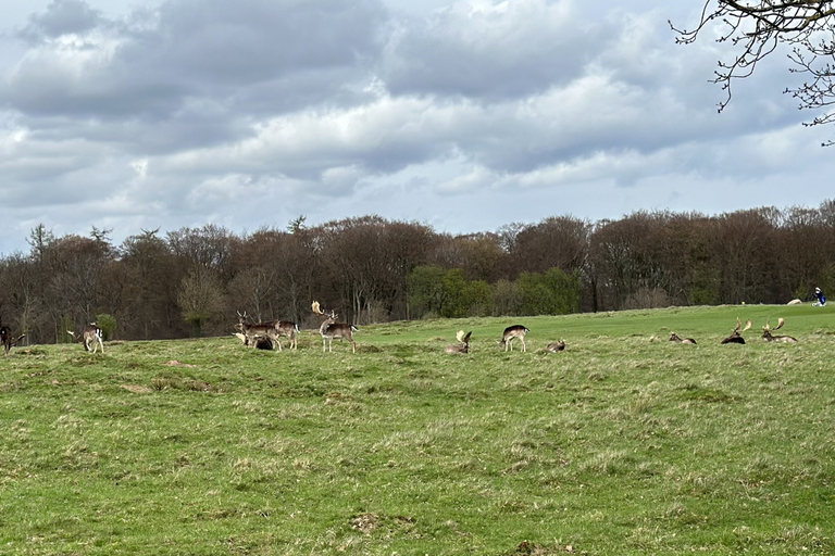 Copenhagen: City Highlights and Deer Park Bike Tour