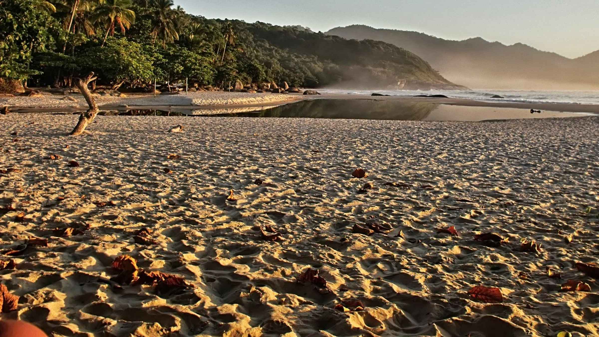 Passeio de lancha por 5 praias isoladas em torno da Ilha Grande