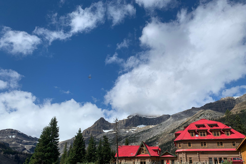 Banff: Lago Louise, Columbia Icefield, laghi Bow e PeytoPrelievo da Banff Canalta Lodge