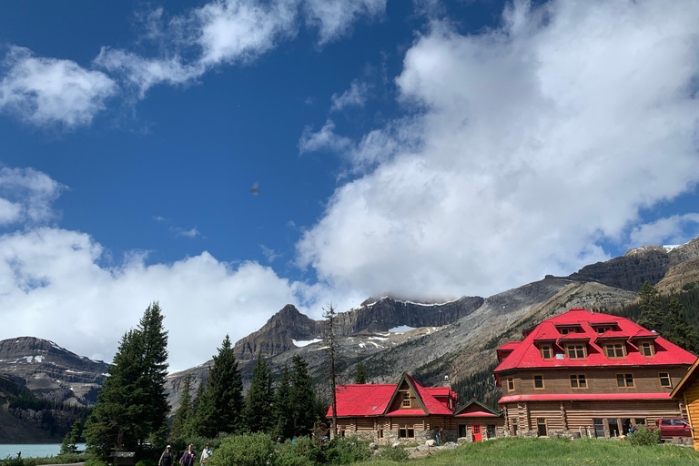 Banff: Lake Louise, Columbia Icefield, Bow &amp; Peyto LakesUpphämtning Banff Canalta Lodge