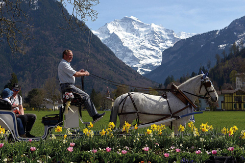 Interlaken: Tour dei punti salienti con carrozza a cavallo