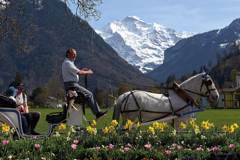 Interlaken: Highlights Tour mit Pferdekutsche