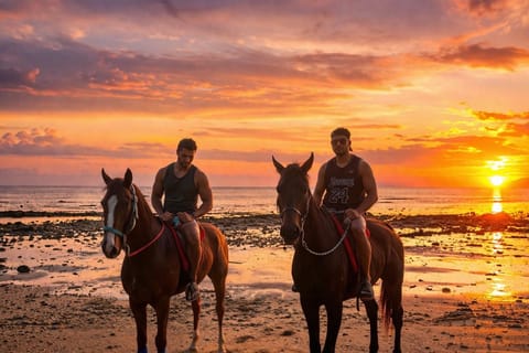 Krabi: Relaxing Horse Ride Along Klong Muang Beach - Image 2