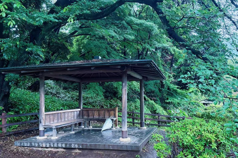 Tokyo: Shinjuku Gyoen Garden Entry & Digital Tea House Guide