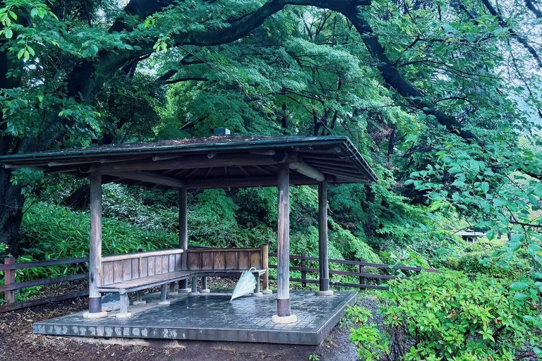 Tokyo: Shinjuku Gyoen Garden Entry & Digital Tea House Guide