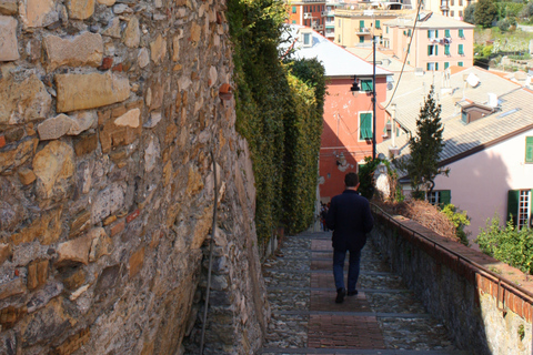 Genoa Coastal Walking Tour Tour in English