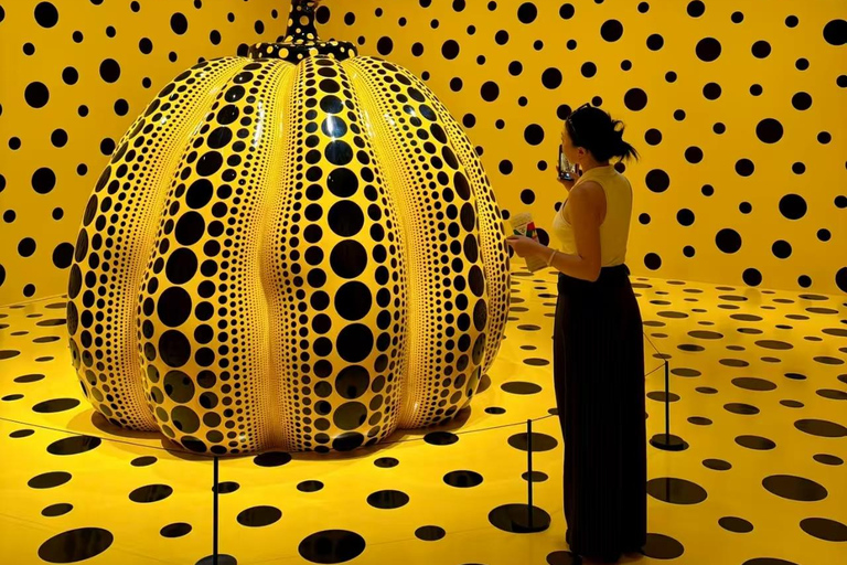 Nagano: Matsumoto Art Museum Ticket & Digital Plan