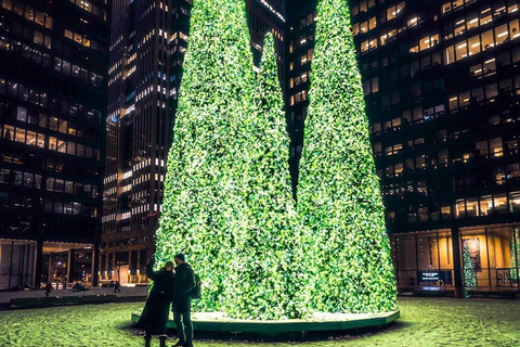 Toronto: Guided City Sightseeing Festive Lights Bus Tour Festive Lights Tour