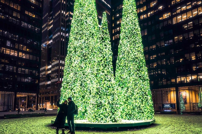 Toronto: Guided City Sightseeing Festive Lights Bus Tour Festive Lights Tour