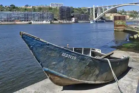 Excursão privada pela cidade do Porto com almoço de marisco e vistas da costa