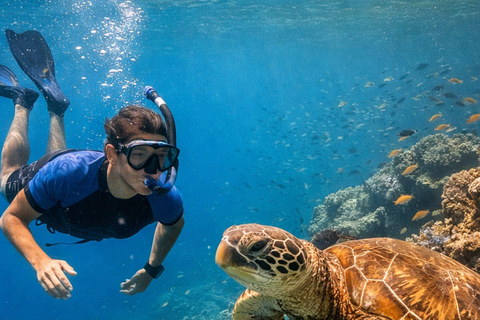 Daymaniyat Snorkeling with Photography & Onboard Ambience