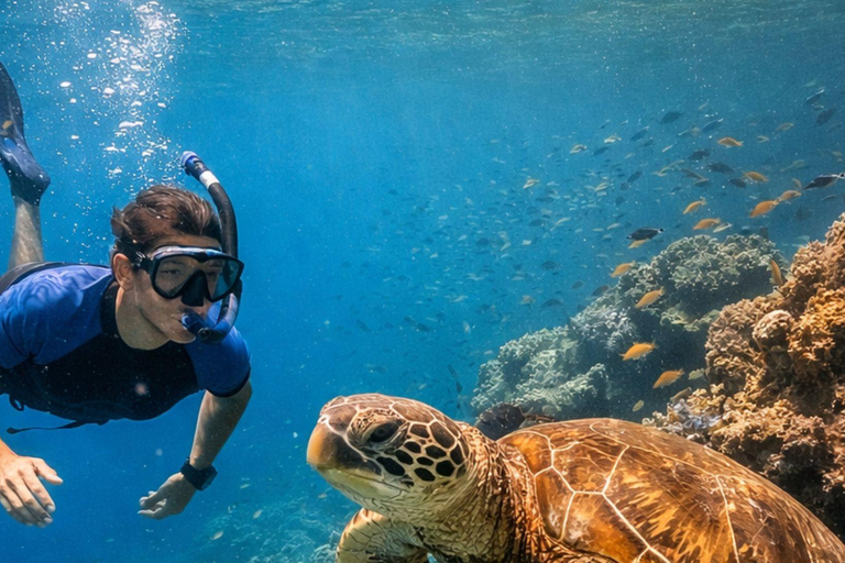 Daymaniyat Snorkeling with Photography & Onboard Ambience