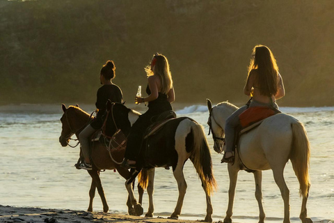Hobart: Scenic Coastal Horseback Riding Adventure 2-hour Hobart: Scenic Coastal Horseback Riding Adventure