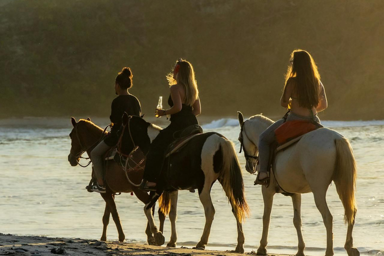 Hobart: Scenic Coastal Horseback Riding Adventure 2-hour Hobart: Scenic Coastal Horseback Riding Adventure