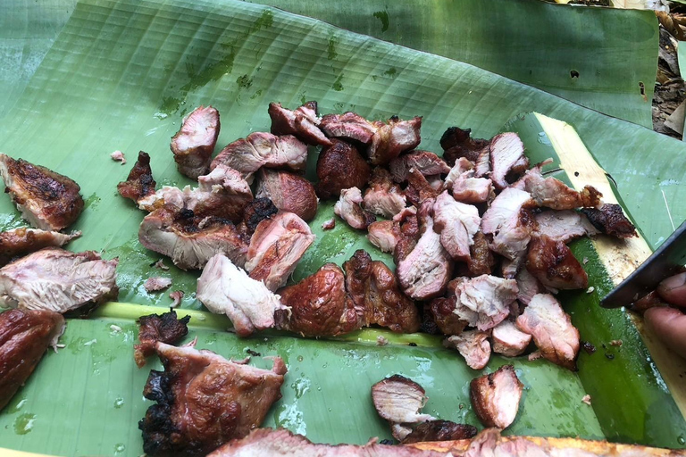 Chiang Rai: Trekking, Bamboo Cooking, and Hot Springs Tour